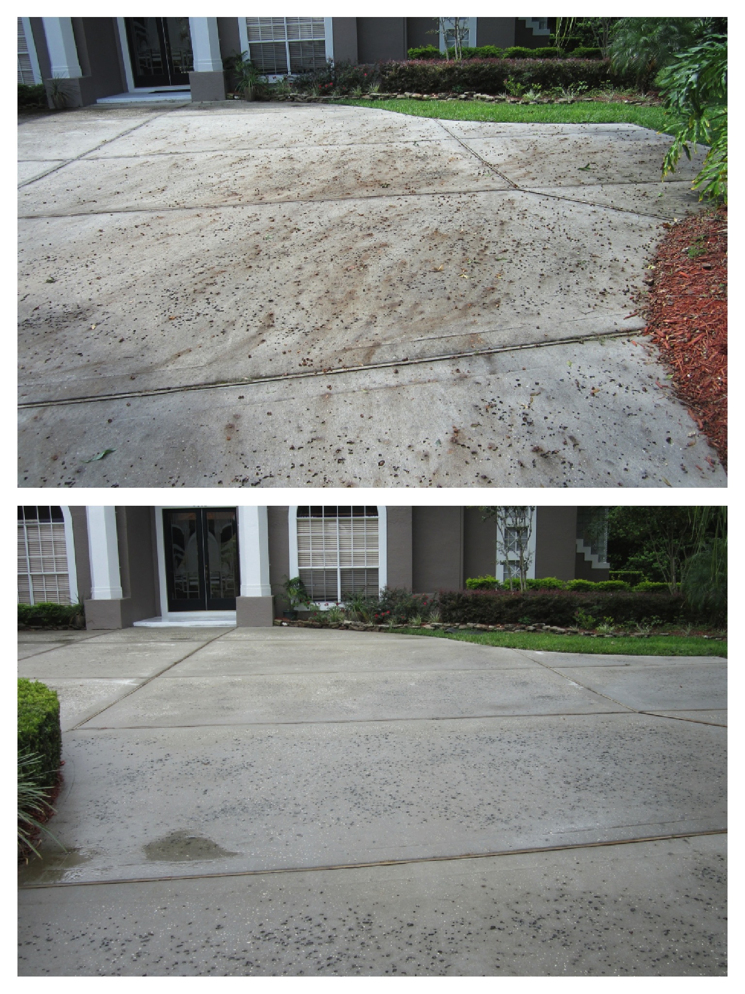 Acorn Stains On Driveway And Concrete A Problem Due To A Bumper Crop Also Known As A Mast Year Wash Rite Orlando S Premier Pressure Washing Service